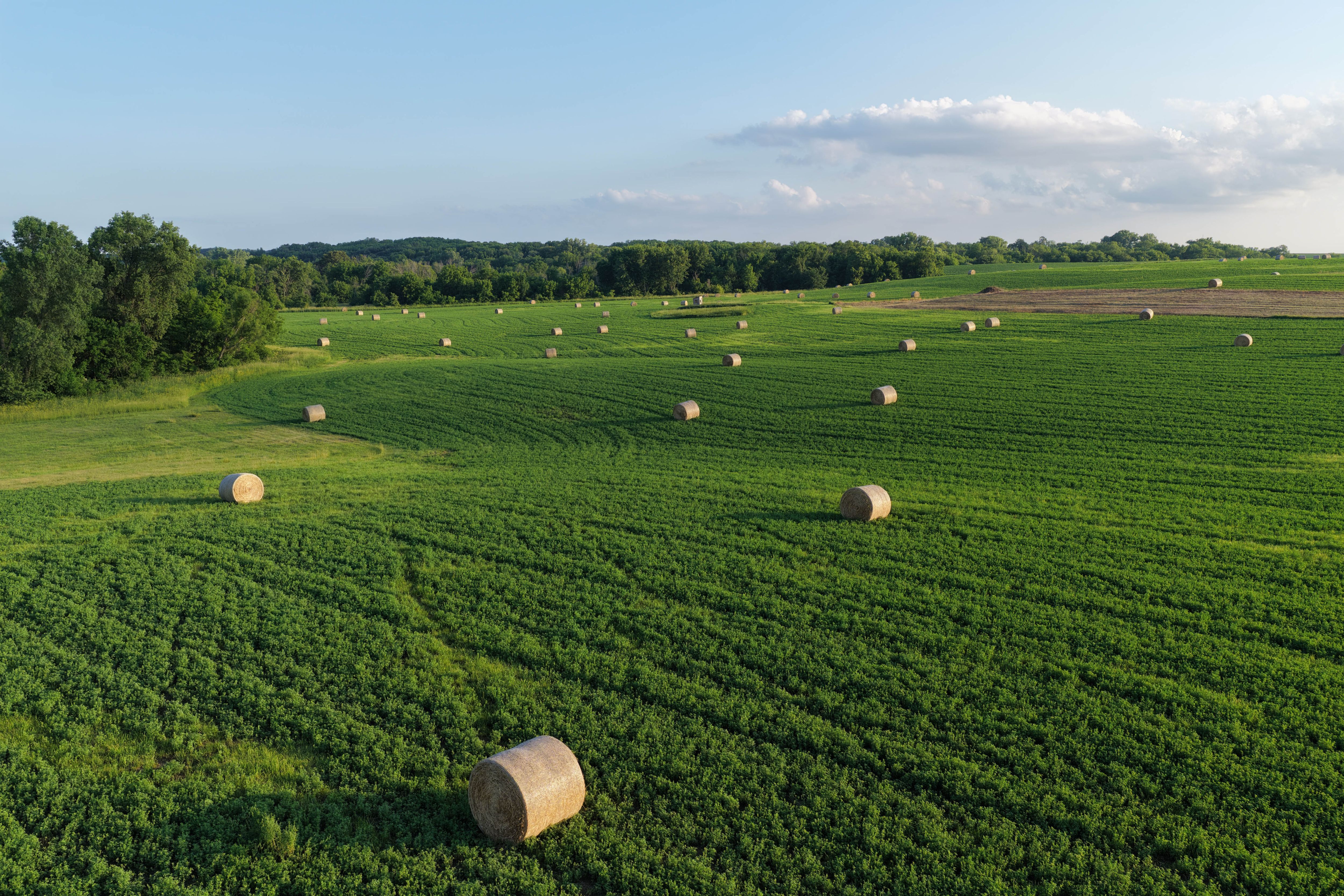 Listing Photo: Muscatine County Iowa Recreational Farm with Income-95
